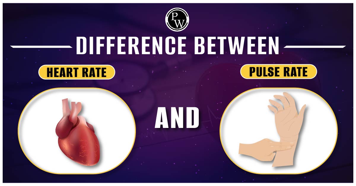 Pulse Rate vs. Heart Rate – What’s the Difference?