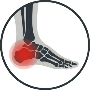 Foot and Ankle Braces